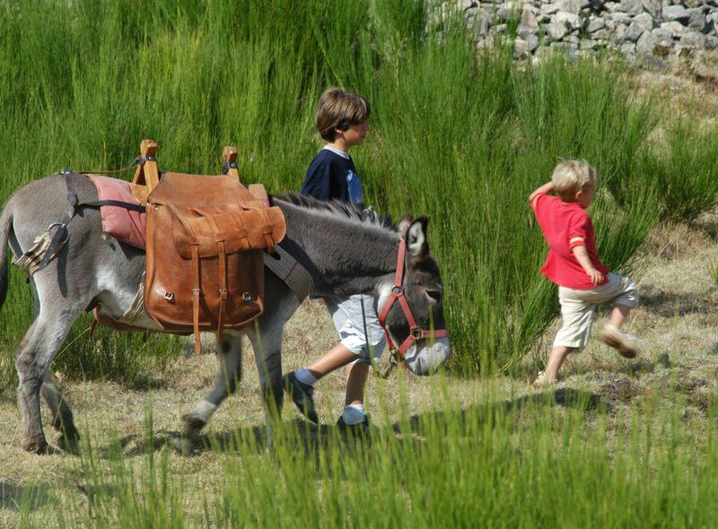 Wandelen met een ezel door de Ardèche.