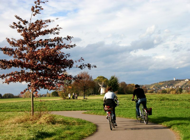 Fietsvakantie langs de Elbe