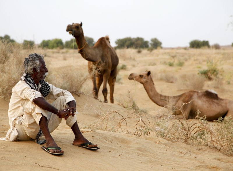 Groepsreis jongerenreis India kamelentocht in Jaisalmer