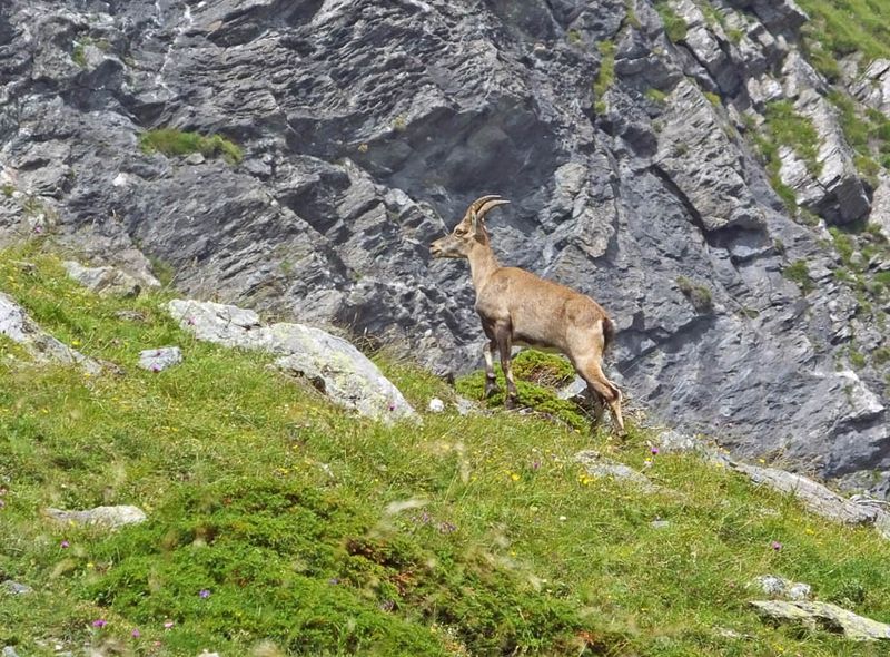 Le tour du Queyras