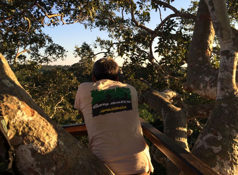 Corto Maltes uitkijktoren Puerto Maldonado, Peru jungle reis