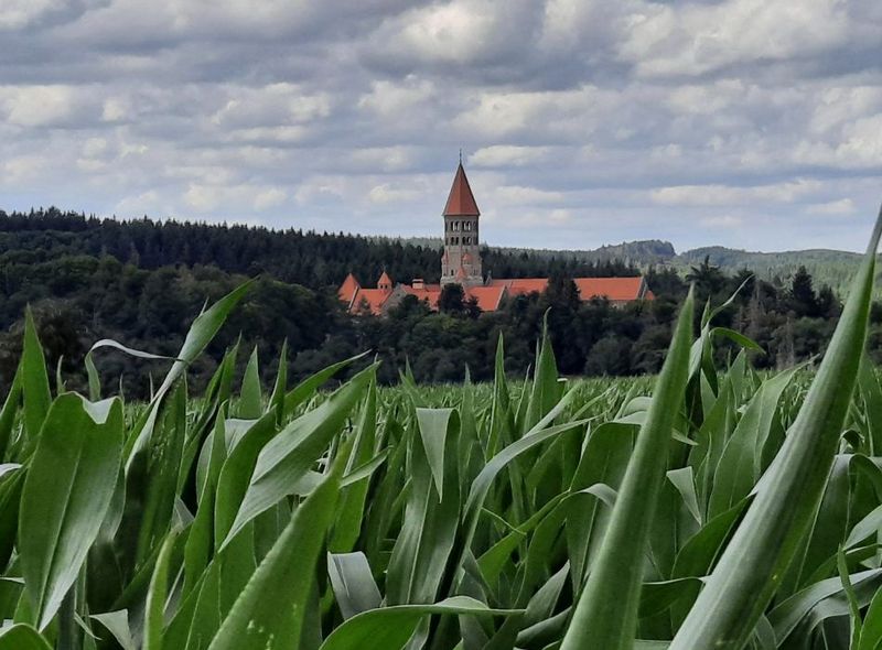 wandelreis Eisleck Trail
