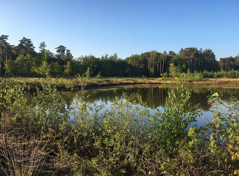 Broekbossen Grote Netewoud