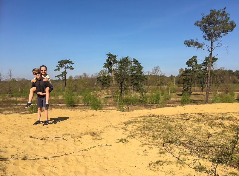 Stuifduinen Grote Netewoud