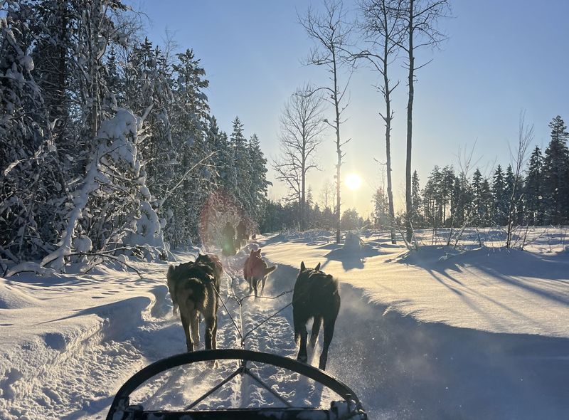 Huskytocht