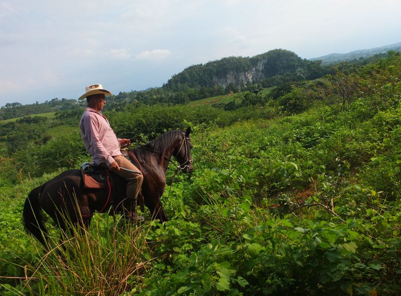 Joker Groepsreis Cuba