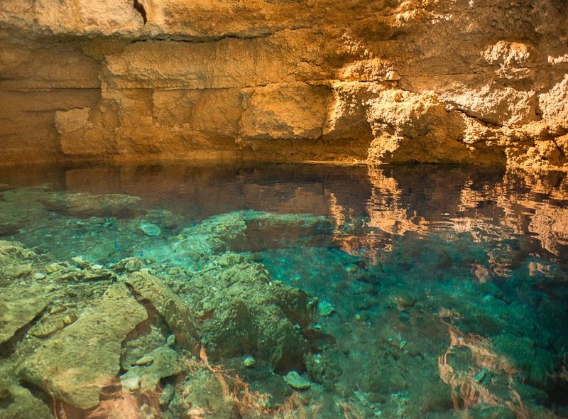 cenote punta laguna go monkey trip