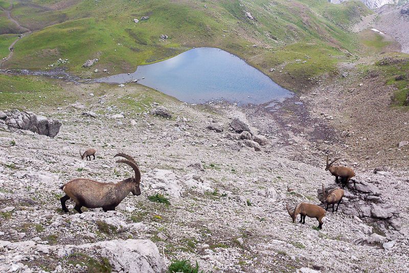 Wandelen in het Lechtal