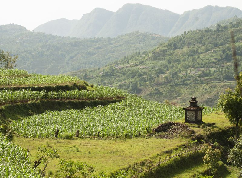 Poon Hill trekking
