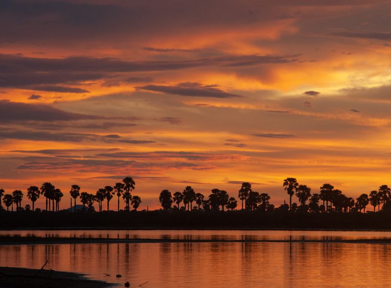 Tanzania - Nyerere National Park - sunset Rufiji - Impala tented Camp