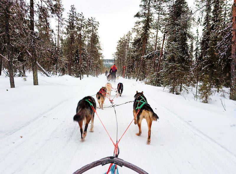 Groepsreis Winter Lapland