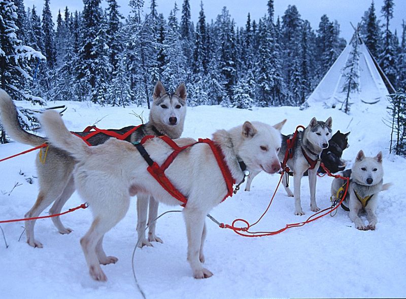 Groepsreis Finland