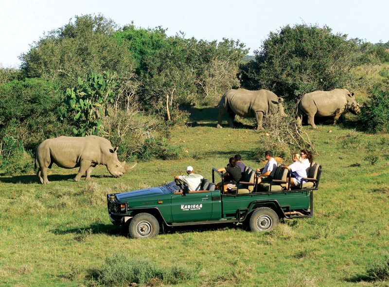 Kariega game drive