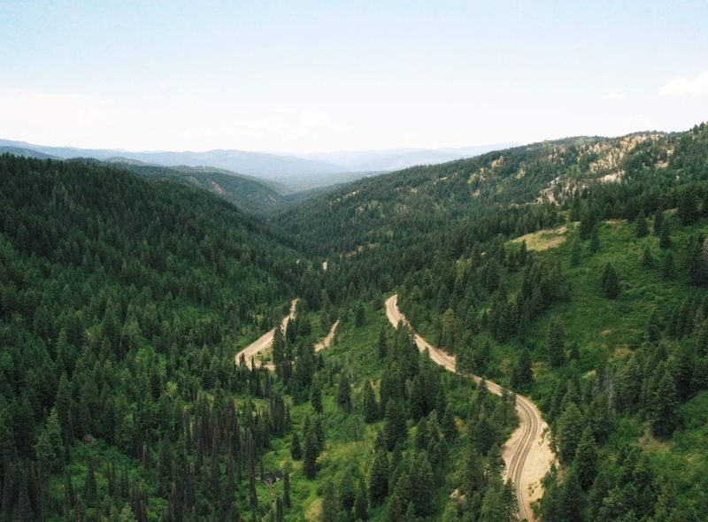 Ponderosa Pines Scenic Byway