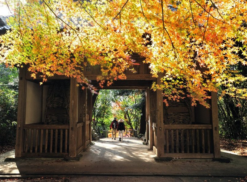 Ohenro pelgrimstocht