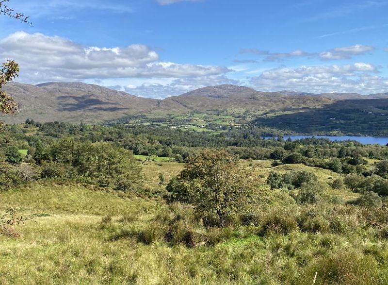 Donegal