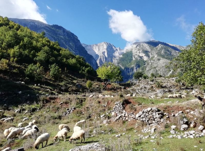 Albanië - De Vallei van Zagoria