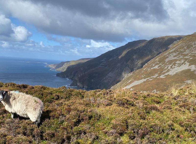 donegal