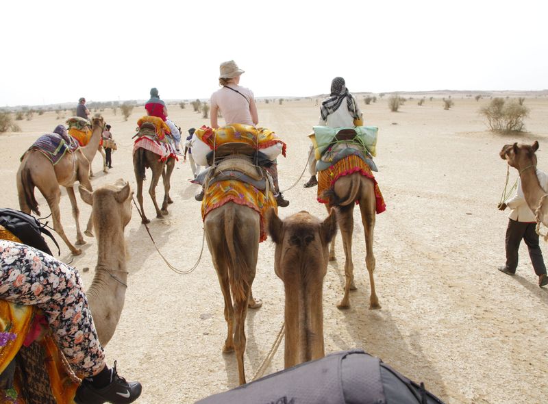 Groepsreis jongerenreis Thar woestijn dromedaristocht avontuur
