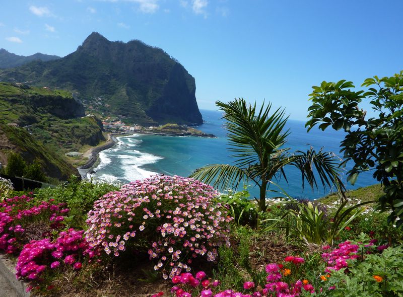 Mediterrane, subtropische hellingen