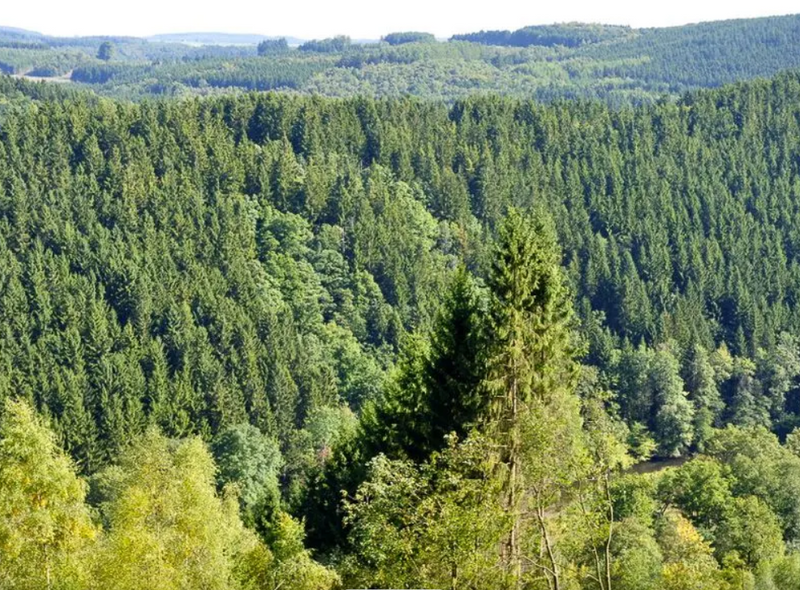  De Transardense Fietsroute