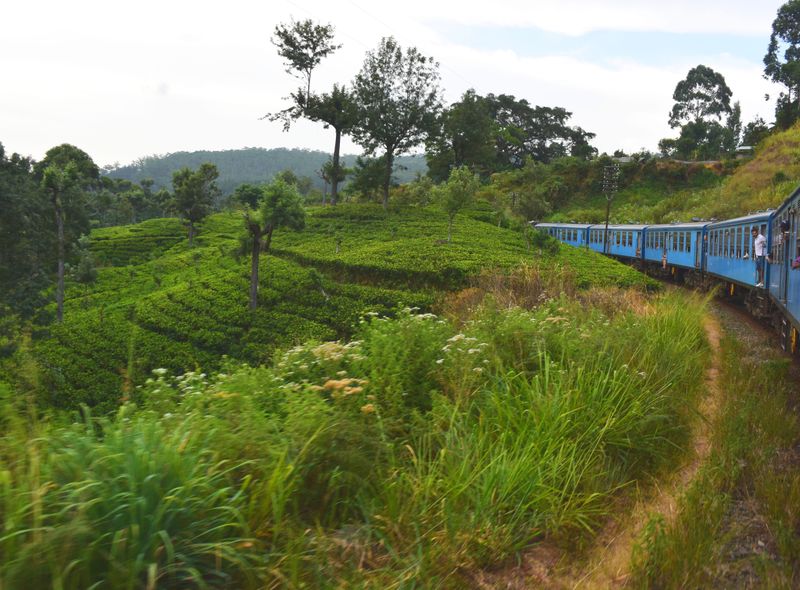 Groepsreis Sri Lanka trein