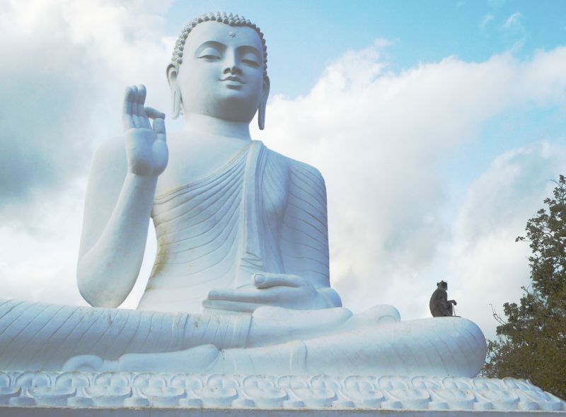 Groepsreis Sri Lanka jongerenreis Mihintale tempel met aapje