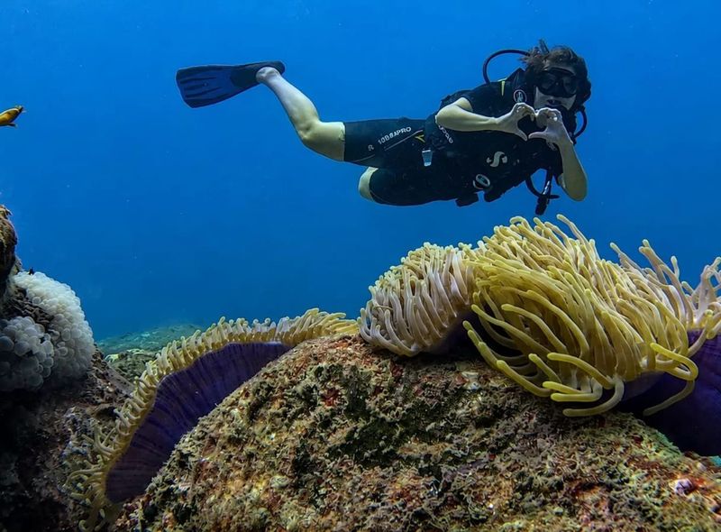 Groepsreis Sri Lanka Surf &amp; Dive Trincomalee