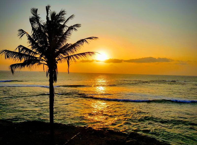 Groepsreis Sri Lanka zonsondergang kust palmboom