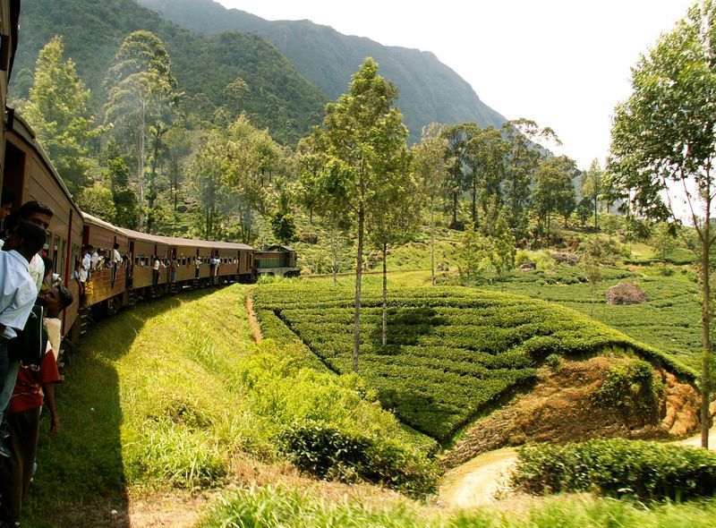 Groepsreis Sri Lanka jongerenreis treinrit naar Ella