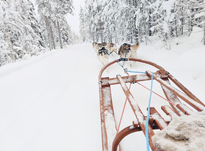Huskytocht