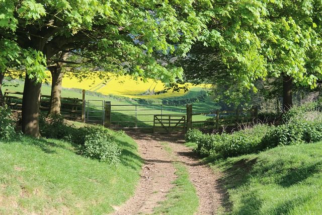 Cotswolds