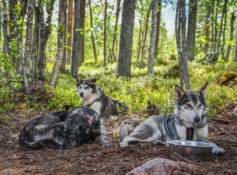 Groepsreis Noorwegen
