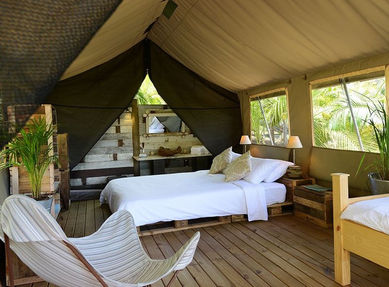 Glamping - LTT