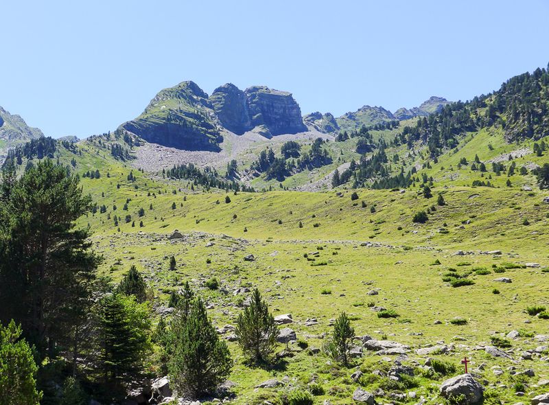 Groen landschap in Aigüestortes