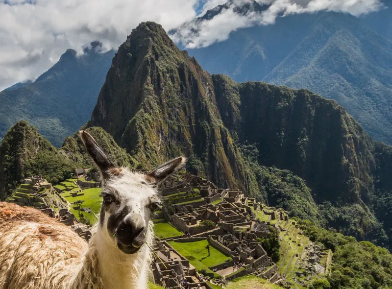 Machu Picchu