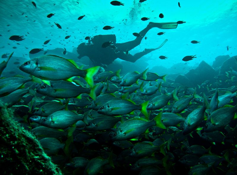 Spanje: Lanzarote Surf & Dive