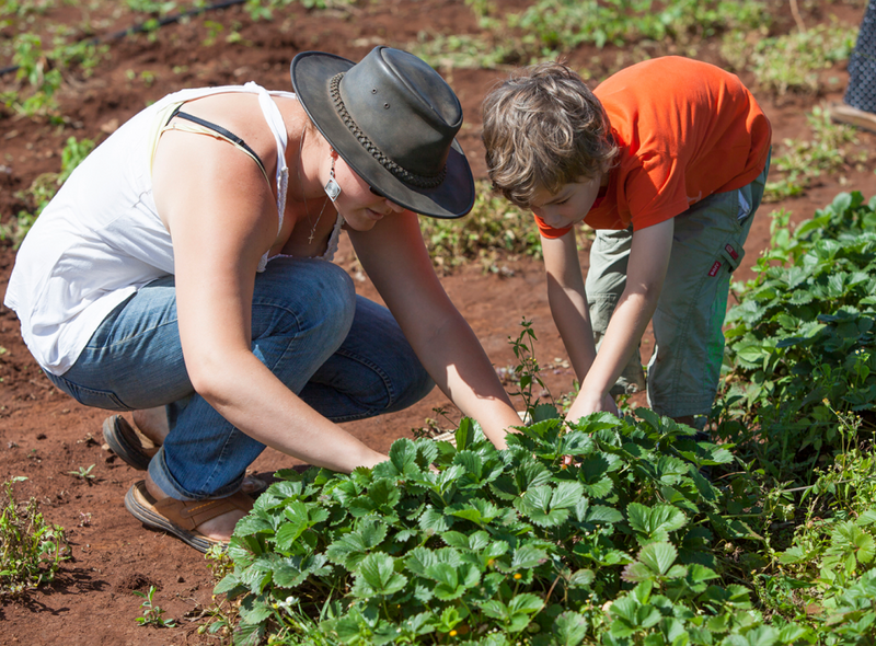 Tanzania Afrika West-Kilimanjaro boerderij