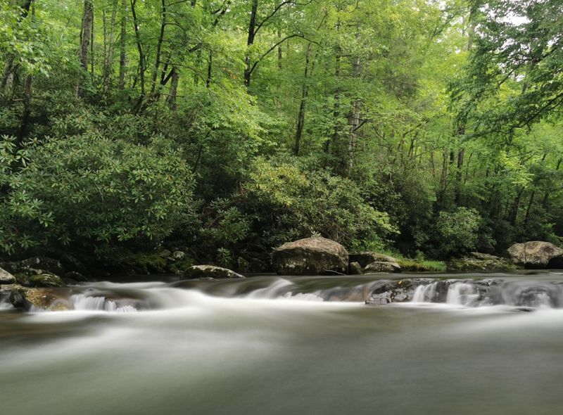 Great Smoky Mountains