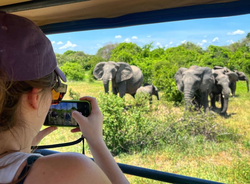 Groepsreis Tanzania safari olifanten