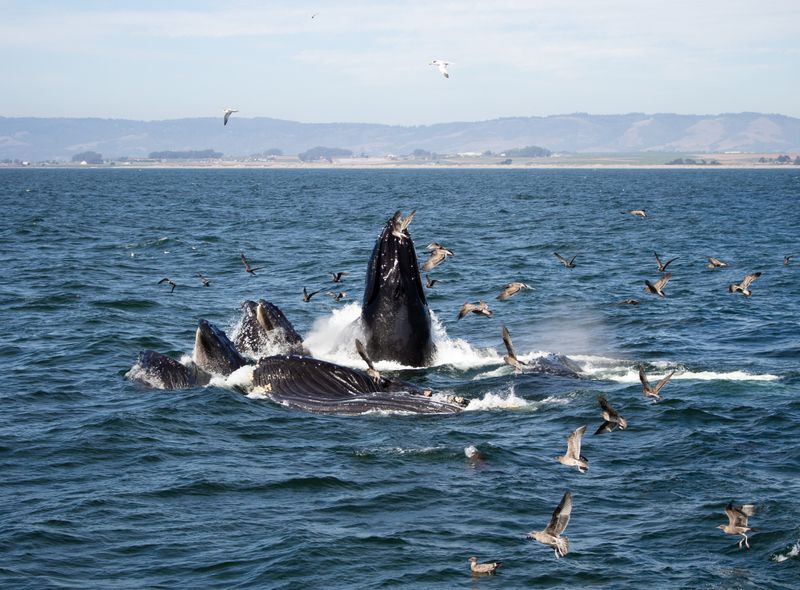 Groepsreis USA - California