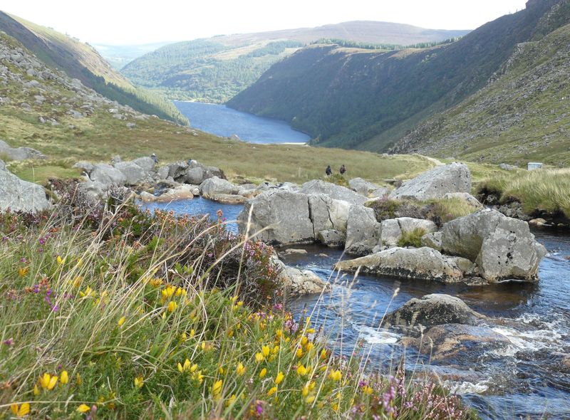 Wicklow Mountains