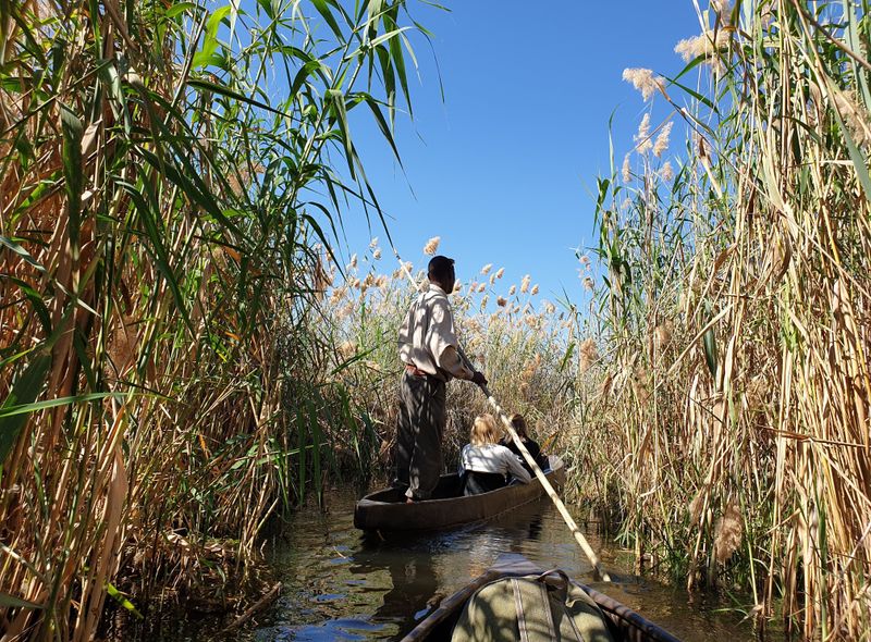 Groepsreis Comfort Botswana Okavango Delta mokoro tocht