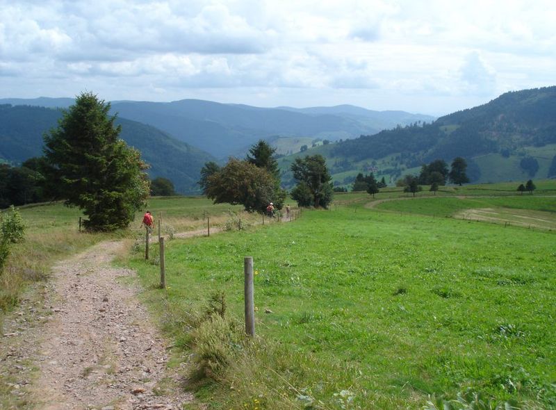 schluchtensteig