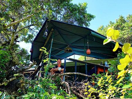 Bundala homestay treehouse