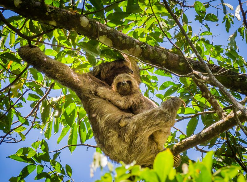 Groepsreis Nicaragua