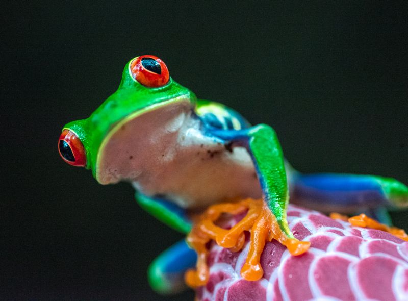 Costa Rica