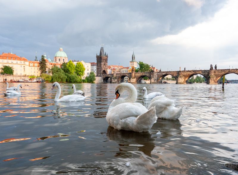 Praag roadtrip