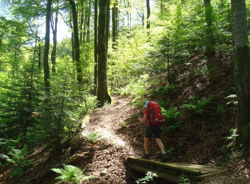wandelreis Frankrijk Vogezen