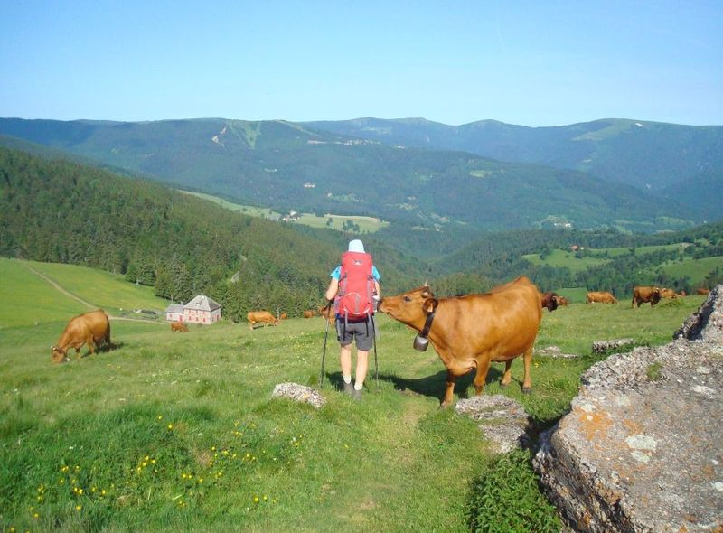 wandelreis Frankrijk Vogezen